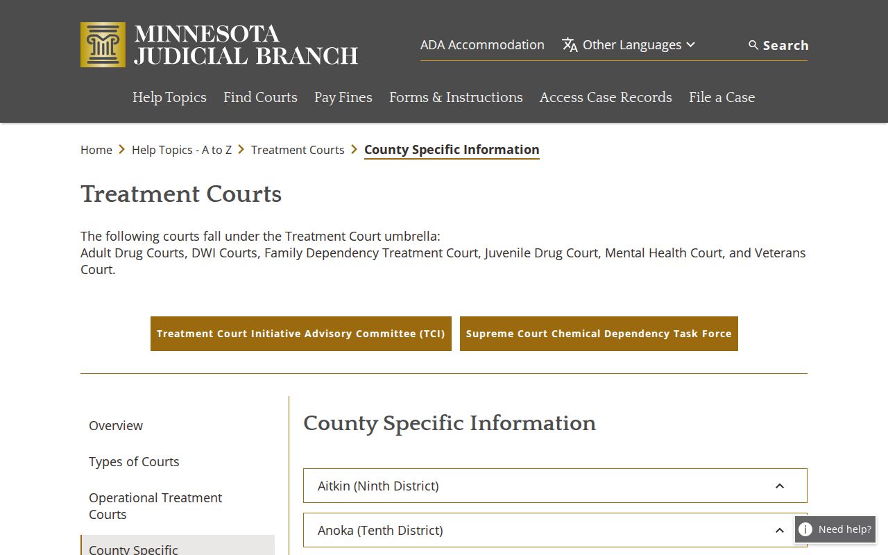 Wright County case search context for the Adult Drug Court treatment program